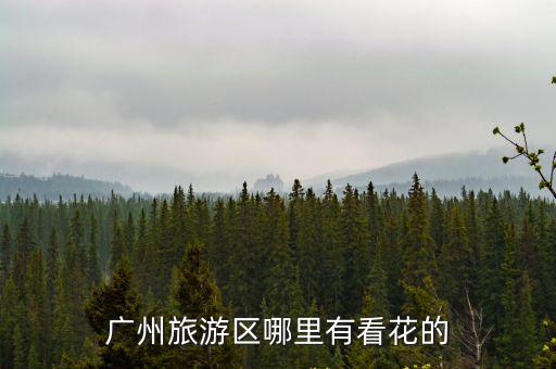 現(xiàn)在有哪個(gè)旅游景區(qū)能看花，廣州旅游區(qū)哪里有看花的