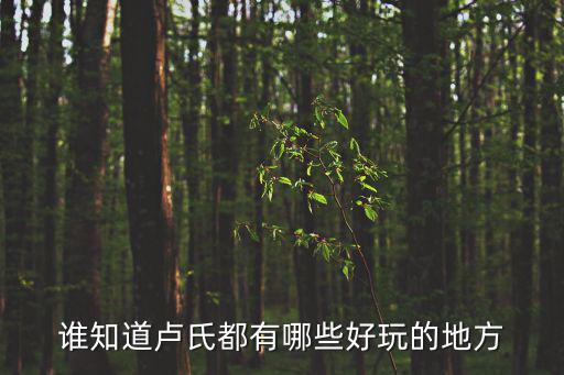 誰知道盧氏都有哪些好玩的地方