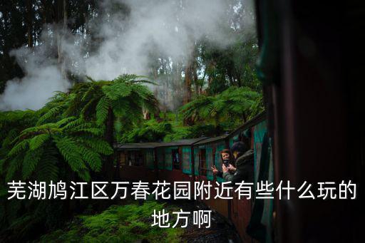 鳩江區(qū)附近有哪些旅游景區(qū)，蕪湖鳩江區(qū)哪里有好玩的啊