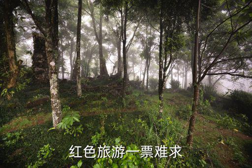 紅色旅游景區(qū)有什么困難，關于河南紅色旅游的問題