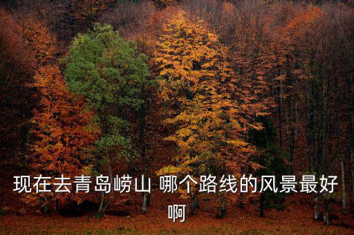 現(xiàn)在去青島嶗山 哪個路線的風(fēng)景最好啊