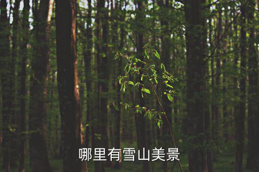 哪個(gè)縣城有雪山風(fēng)景區(qū)旅游，云南多少個(gè)縣分別是哪些有個(gè)什么雪山的 那是哪里啊據(jù)說是個(gè)很