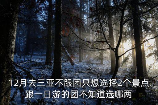 12月去三亞不跟團(tuán)只想選擇2個景點跟一日游的團(tuán)不知道選哪兩