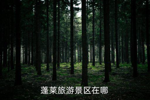 長島蓬萊旅游景區(qū)在哪個(gè)鎮(zhèn)，長島在哪個(gè)省
