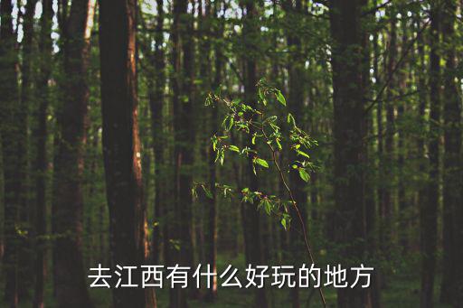 進(jìn)江西有哪些旅游景區(qū)，江西有哪些旅游景點(diǎn)