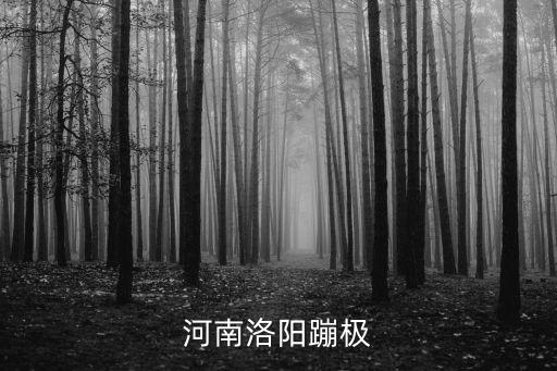 河南洛陽(yáng)蹦極