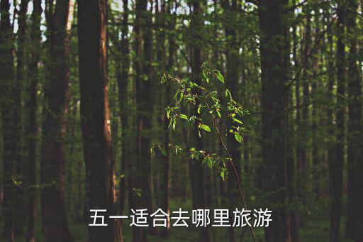 五一適合去哪里旅游