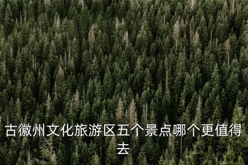 古徽州文化旅游區(qū)五個(gè)景點(diǎn)哪個(gè)更值得去