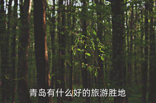青島有什么好的旅游勝地
