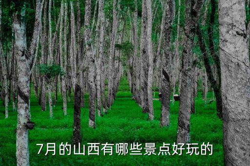 熊本哪些旅游景區(qū)好玩，咸陽哪些旅游景點好玩多少錢大約
