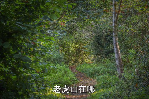 老虎山在哪