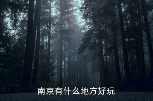 南京旅游風(fēng)景區(qū)哪個最好，南京的什么地方風(fēng)景最好
