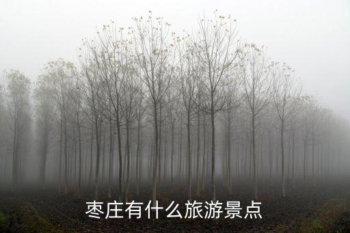 棗莊有什么旅游景點(diǎn)