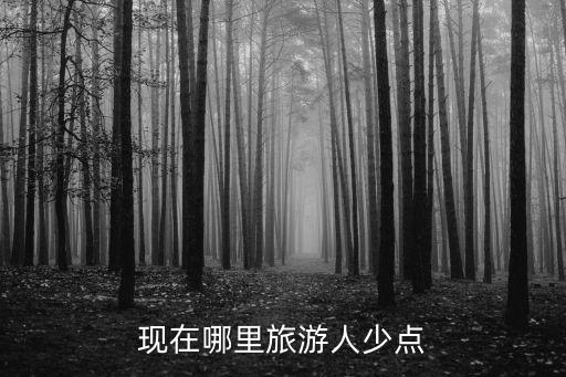 現(xiàn)在哪里旅游人少點(diǎn)
