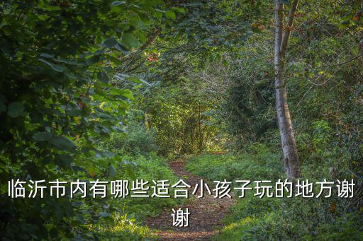 臨沂市內(nèi)有哪些適合小孩子玩的地方謝謝