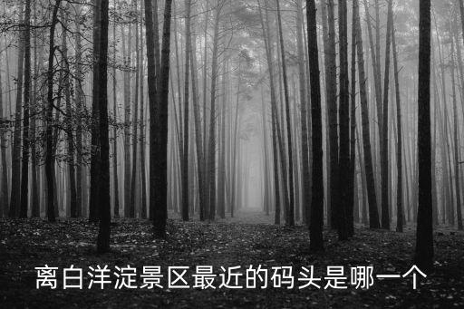 離白洋淀景區(qū)最近的碼頭是哪一個(gè)