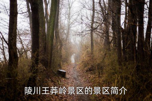 陵川王莽嶺景區(qū)的景區(qū)簡介