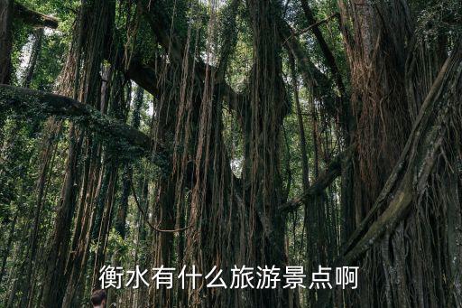 衡水有什么旅游景點啊