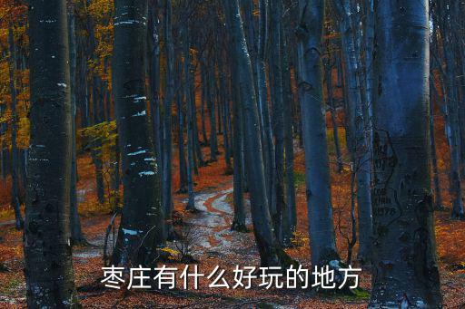 棗莊有什么好玩的地方