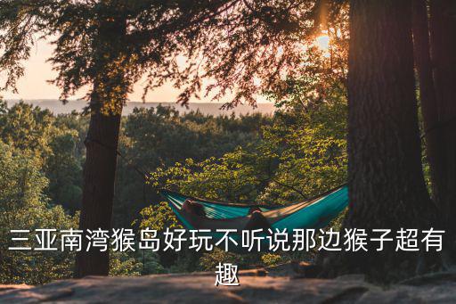 三亞南灣猴島好玩不聽說那邊猴子超有趣