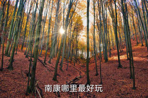 南康代表性的旅游景區(qū)是哪個(gè)，請(qǐng)問(wèn)江西贛州南康都有哪些旅游景點(diǎn)