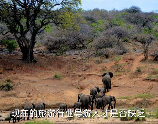 景區(qū)旅游為什么人才匱乏，中國旅游人才缺口多少