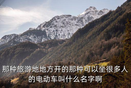 旅游景區(qū)的車叫什么電車，那種旅游地地方開的那種可以坐很多人的電動(dòng)車叫什么名字啊