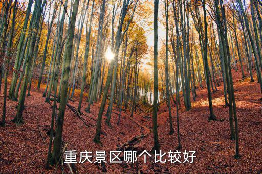 重慶景區(qū)哪個比較好