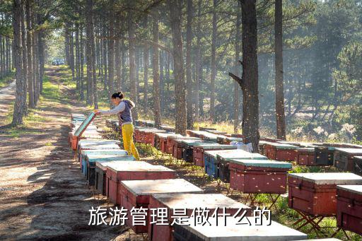 旅游管理是做什么的