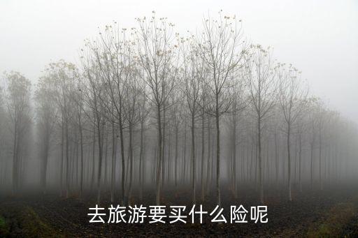 旅游景區(qū)應(yīng)該購買哪些險種，去旅游要買什么險呢