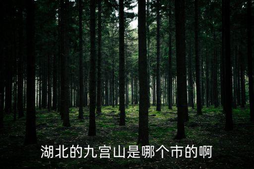 湖北的九宮山是哪個市的啊