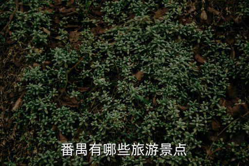 番禺有哪些旅游景點