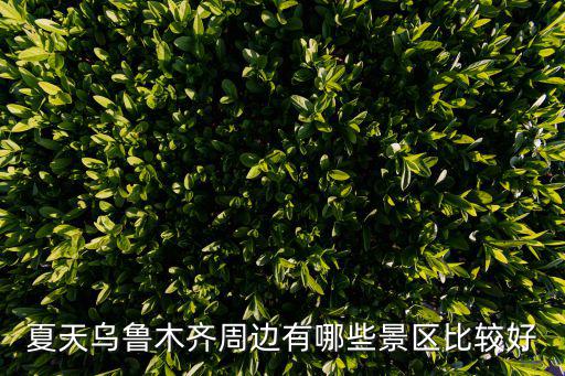 夏天烏魯木齊周邊有哪些景區(qū)比較好