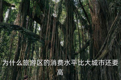 為什么出門旅游景區(qū)占比高，為什么旅游區(qū)的消費(fèi)水平比大城市還要高