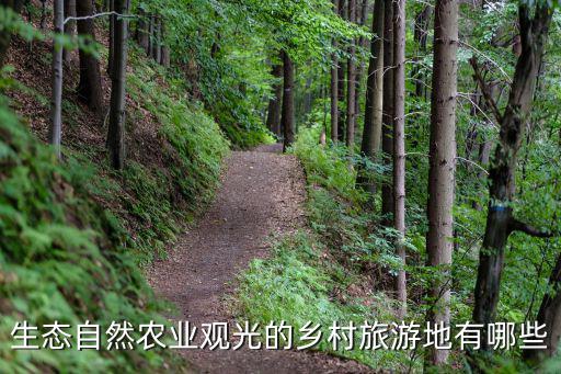 鄉(xiāng)村旅游景區(qū)包括哪些，有什么鄉(xiāng)村旅游的好地方求介紹