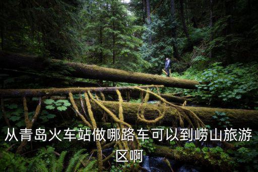 從青島火車站做哪路車可以到嶗山旅游區(qū)啊