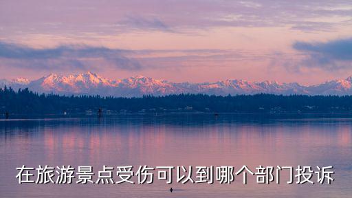 旅游景區(qū)內(nèi)交通事故歸哪個(gè)部門(mén)管，在旅游景點(diǎn)受傷可以到哪個(gè)部門(mén)投訴
