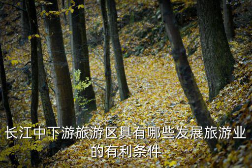 長(zhǎng)江中下游旅游區(qū)具有哪些發(fā)展旅游業(yè)的有利條件
