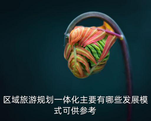 區(qū)域旅游規(guī)劃一體化主要有哪些發(fā)展模式可供參考