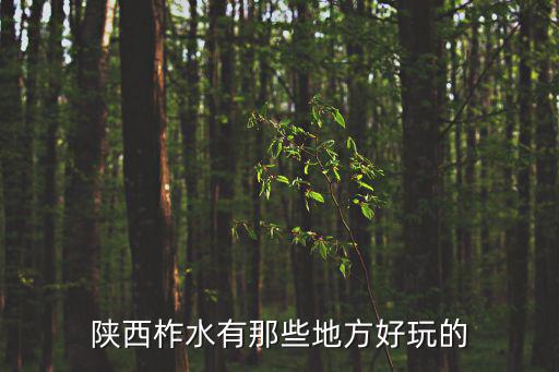 陜西柞水有那些地方好玩的