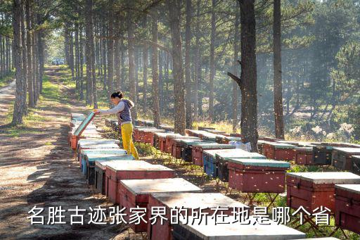 名勝古跡張家界的所在地是哪個(gè)省
