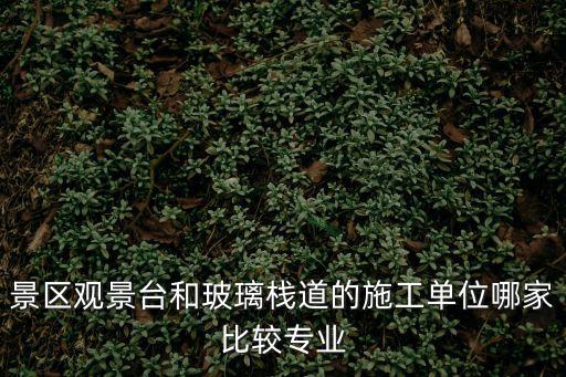 景區(qū)觀景臺(tái)和玻璃棧道的施工單位哪家比較專(zhuān)業(yè)