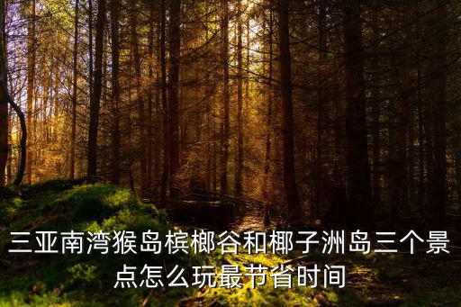 三亞南灣猴島檳榔谷和椰子洲島三個(gè)景點(diǎn)怎么玩最節(jié)省時(shí)間