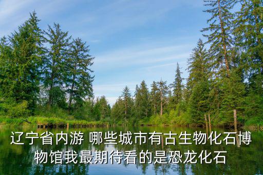 遼寧省內(nèi)游 哪些城市有古生物化石博物館我最期待看的是恐龍化石