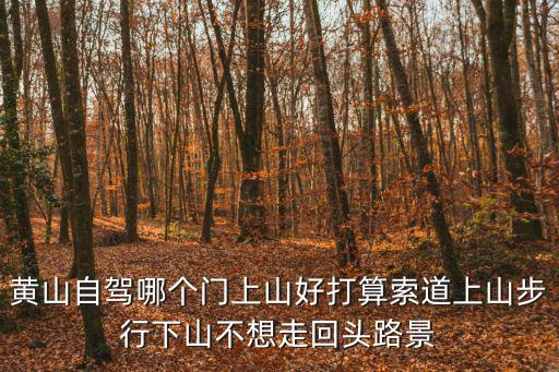 黃山自駕哪個門上山好打算索道上山步行下山不想走回頭路景