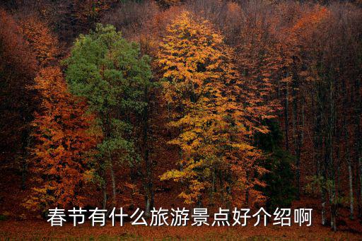 春節(jié)有什么旅游景點(diǎn)好介紹啊