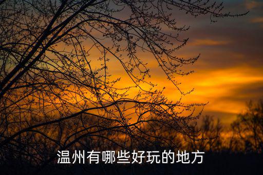 溫州有哪些好玩的地方
