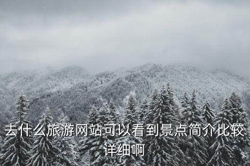 去什么旅游網(wǎng)站可以看到景點(diǎn)簡介比較詳細(xì)啊