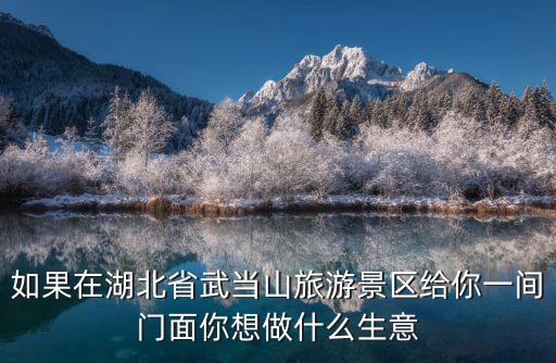 如果在湖北省武當(dāng)山旅游景區(qū)給你一間門面你想做什么生意