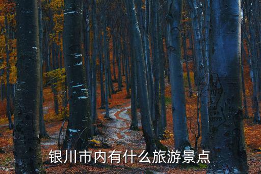 銀川有哪些旅游景區(qū)，銀川市內(nèi)有什么旅游景點(diǎn)